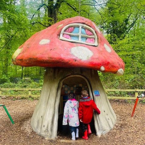 Guest Blog: Bay and Beyond - A day out at Stockeld Park - For The Love Of The North