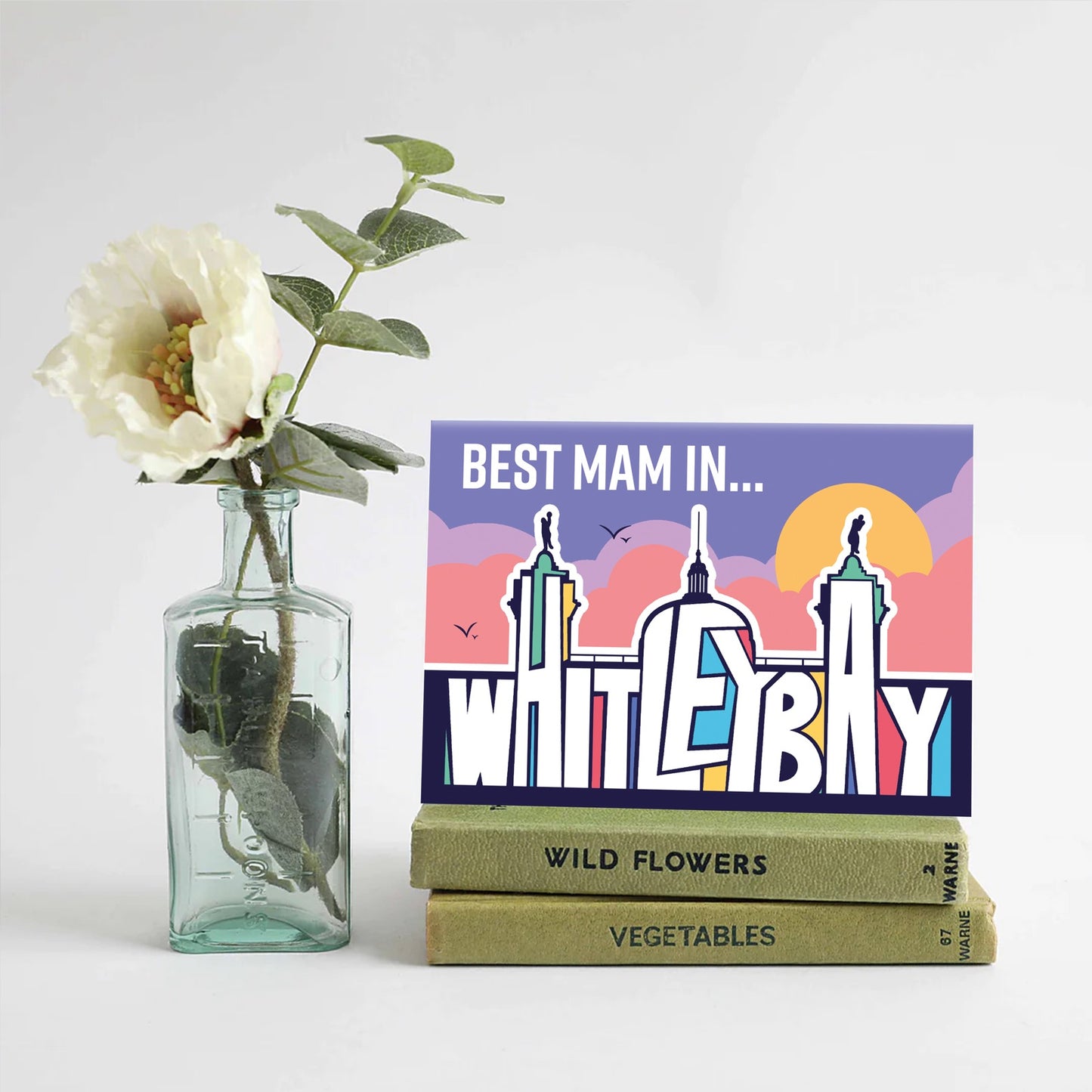 Best Mam in Whitley Bay - Spanish City card - For The Love Of The North