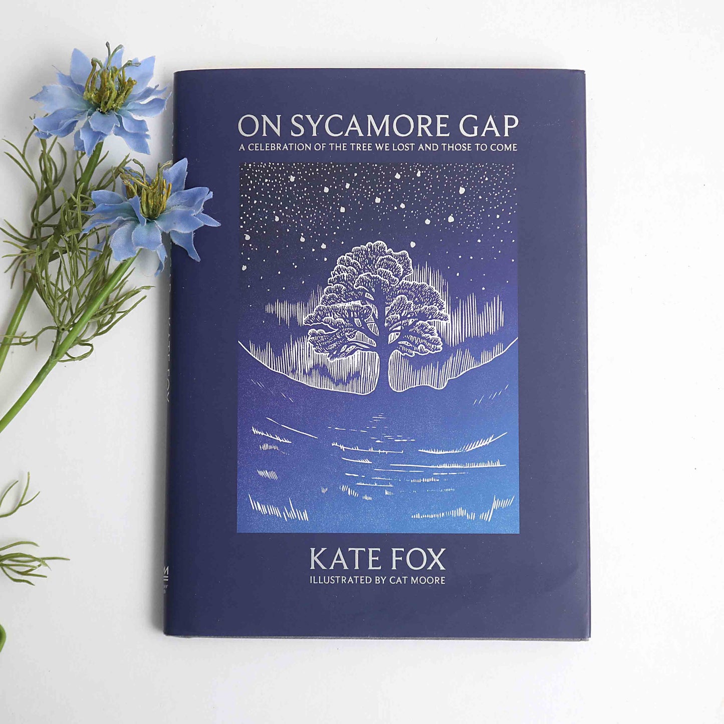 On Sycamore Gap - For The Love Of The North