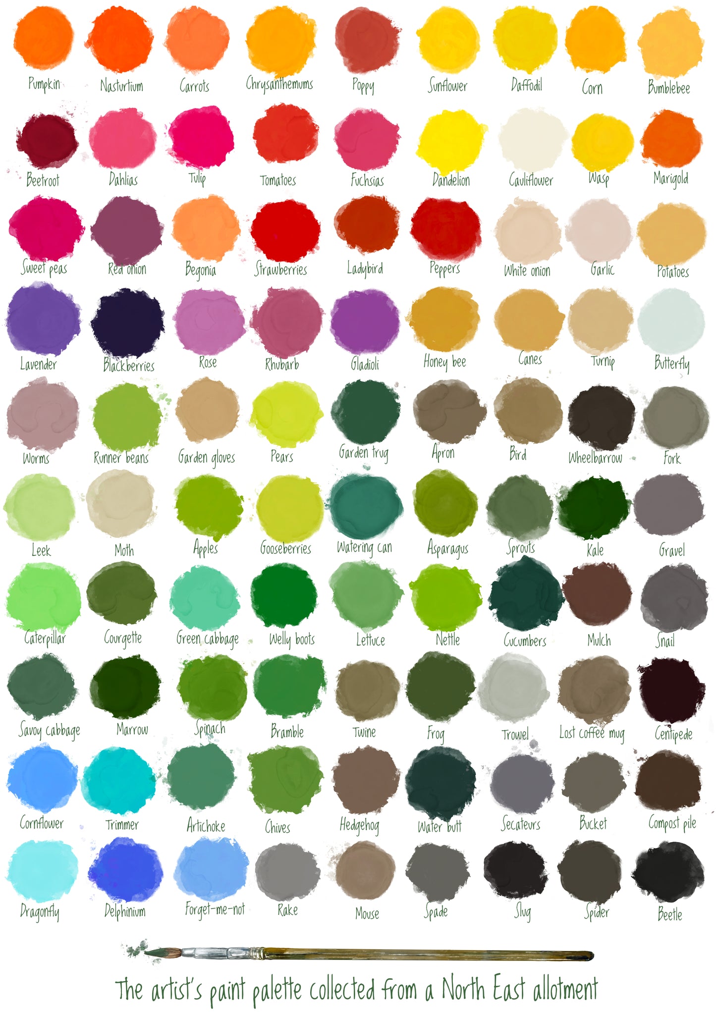 Artist palette collected from North East allotment postcard - For The Love Of The North