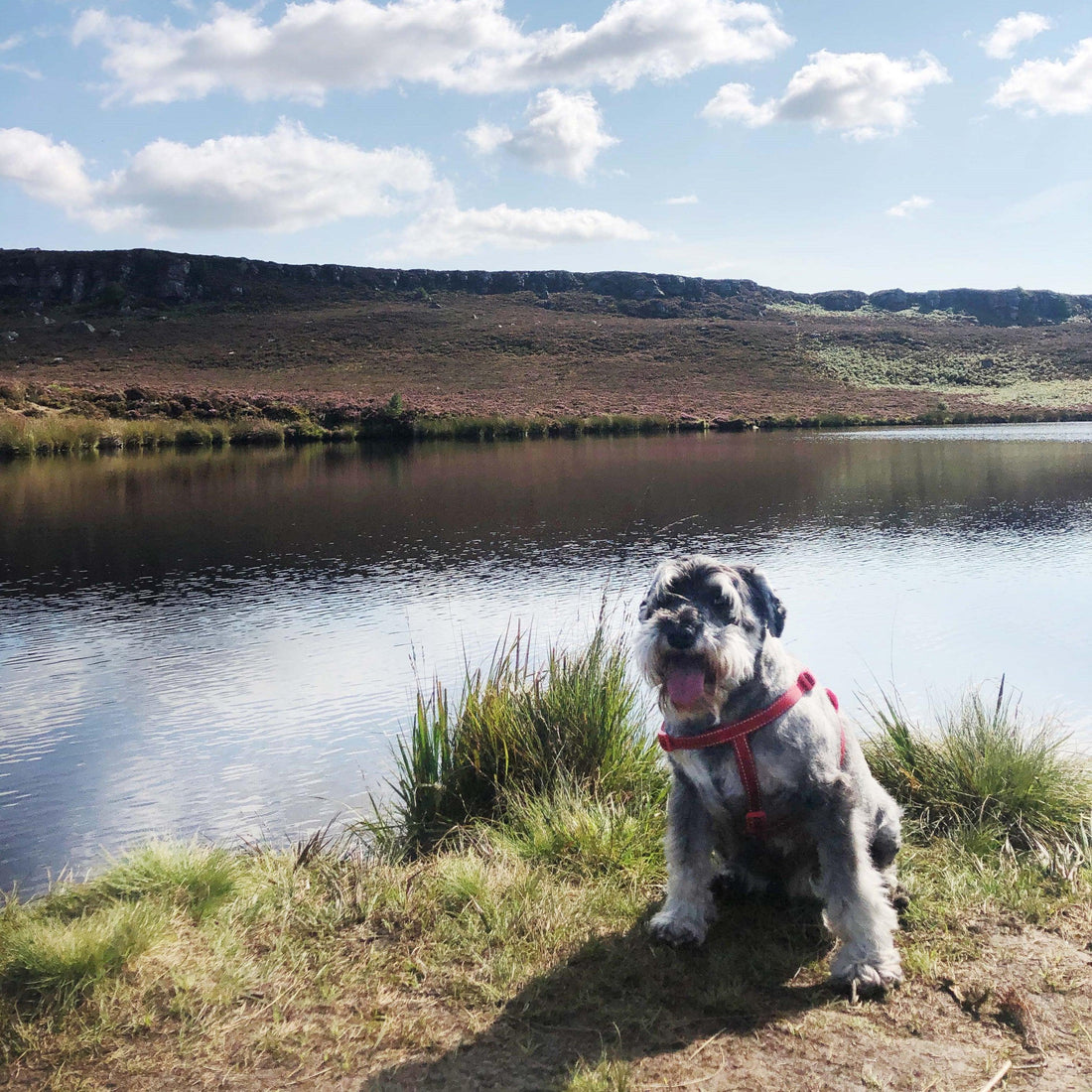 Little Life Adventures - For The Love Of The North