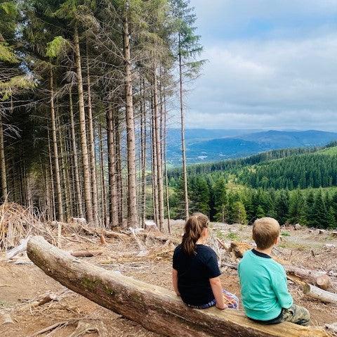 Guest Blog: Bay and Beyond: The Lake District….beyond the Lakes.