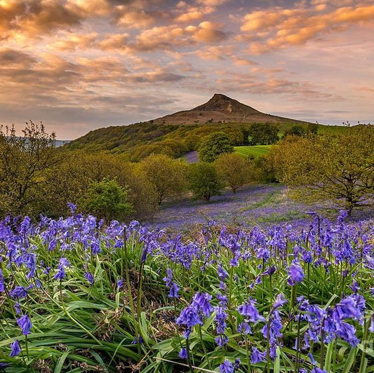 5 Picturesque Locations To Visit in The North East