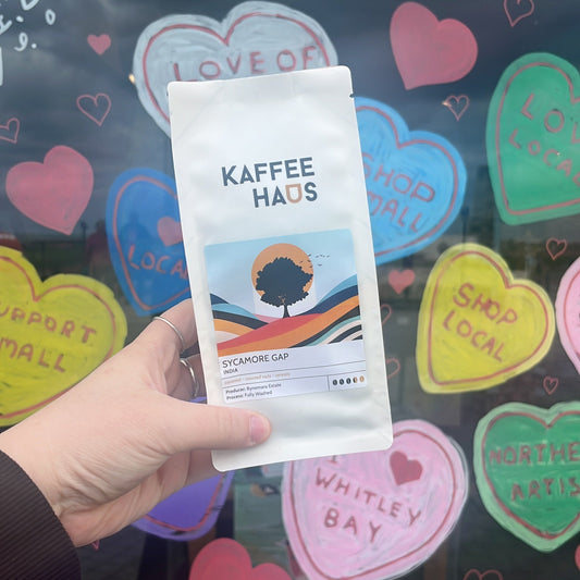 Hand holding a Kaffee Haus coffee package on a colorful background