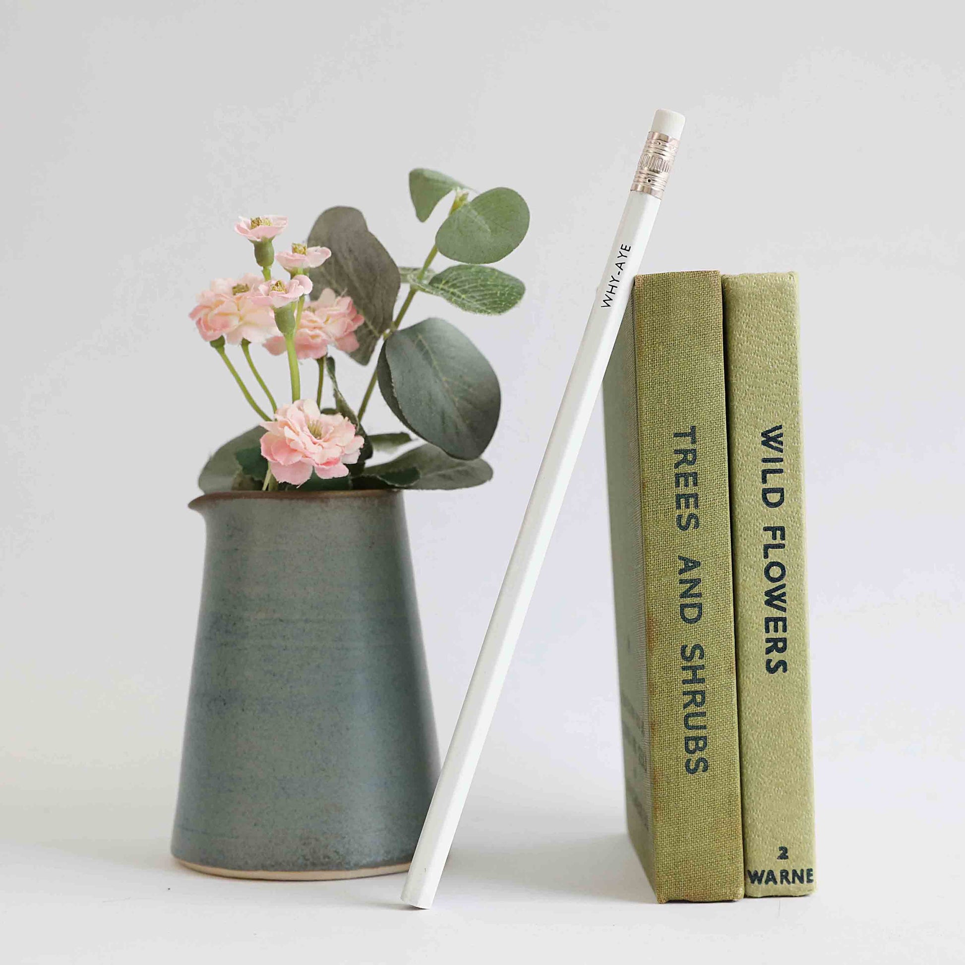 Pencils - For The Love Of The North