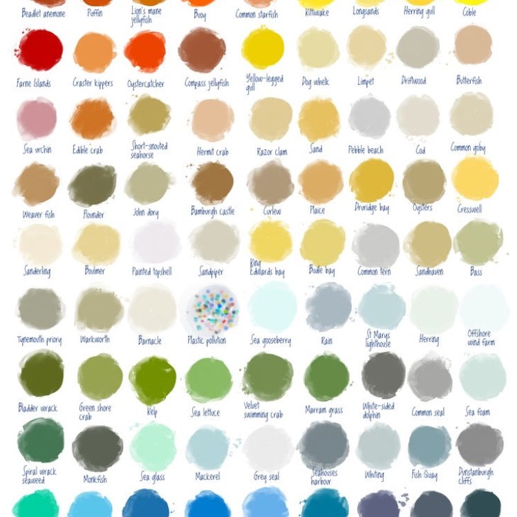 The North East Coastline Artist’s Palette card - For The Love Of The North