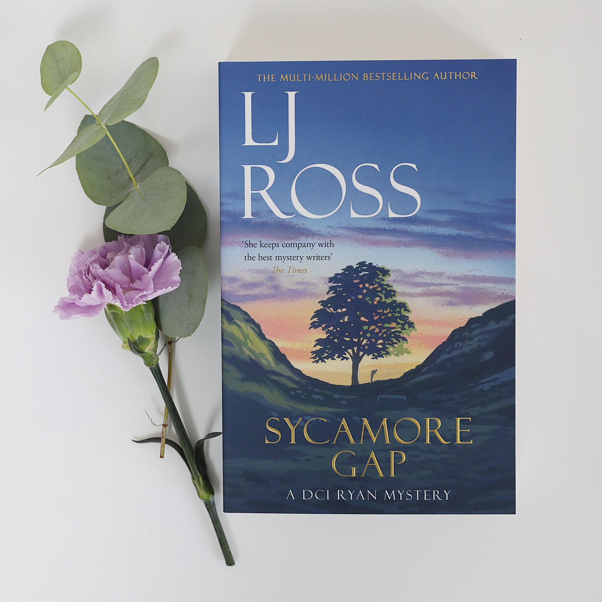 Sycamore Gap - DCI Ryan Book No. 2 by LJ Ross - For The Love Of The North