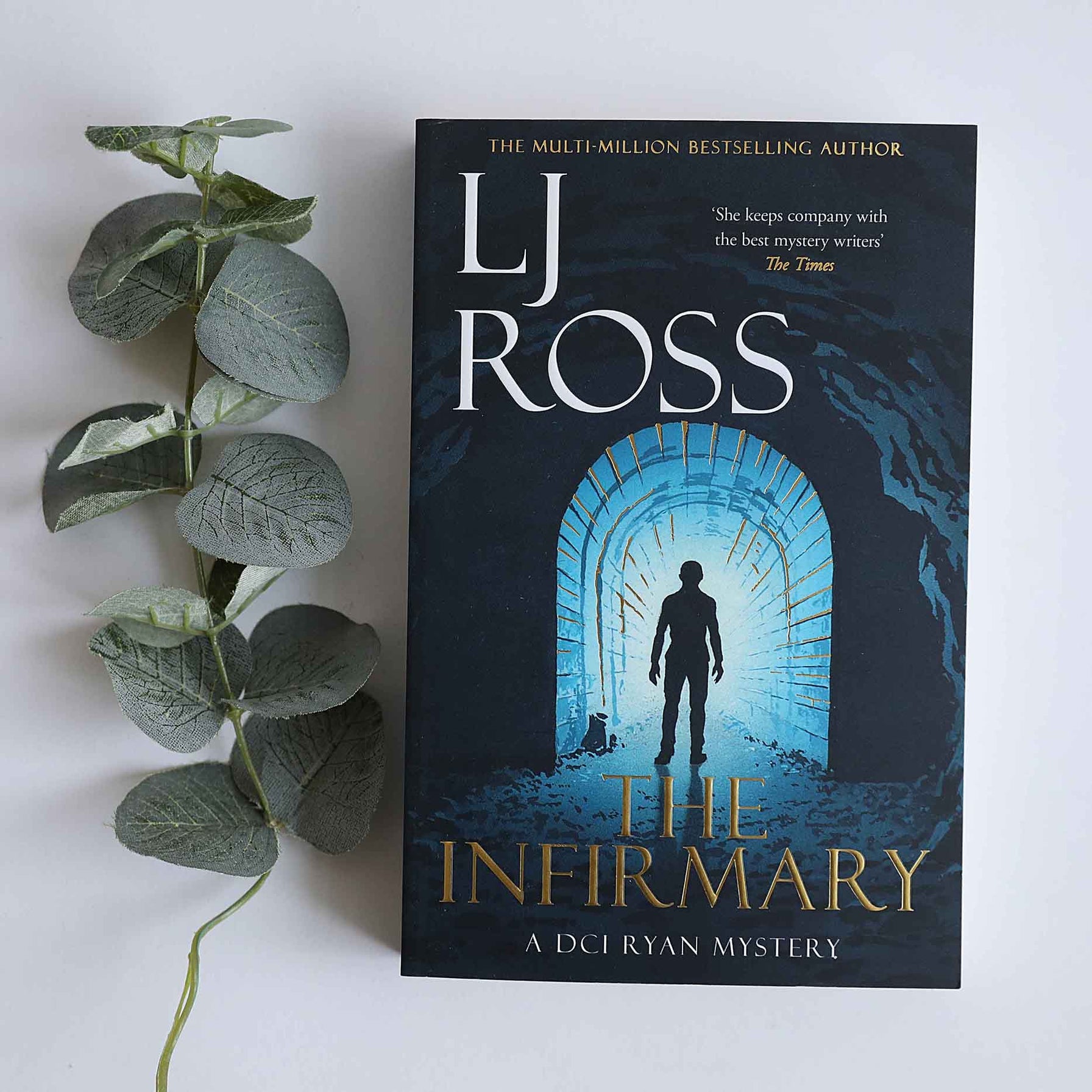 The Infirmary - DCI Ryan Book No. 11 by LJ Ross - For The Love Of The North