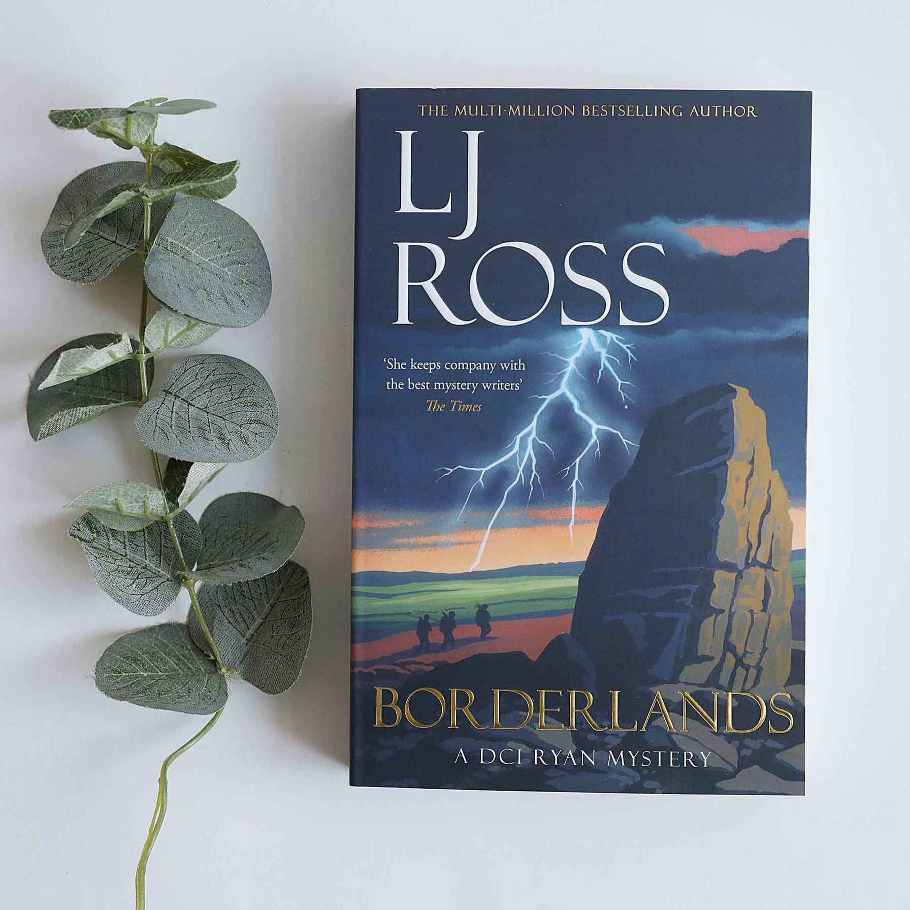 Borderlands - DCI Ryan Book No.14 by LJ Ross - For The Love Of The North